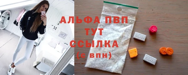 индика Баксан