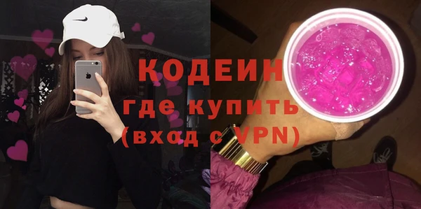 индика Баксан