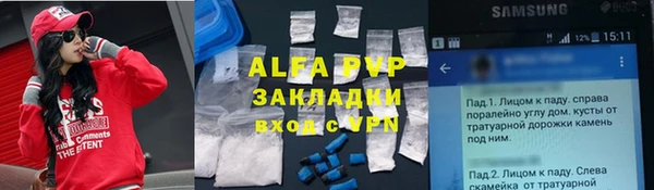 индика Баксан