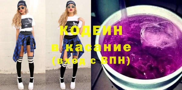 индика Баксан